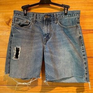 American Eagle Outfitters Men’s Loose Distressed Denim Jean Shorts 30